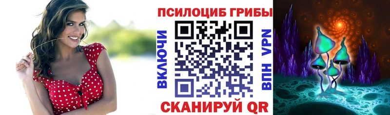 Галлюциногенные грибы мицелий  Бердск 